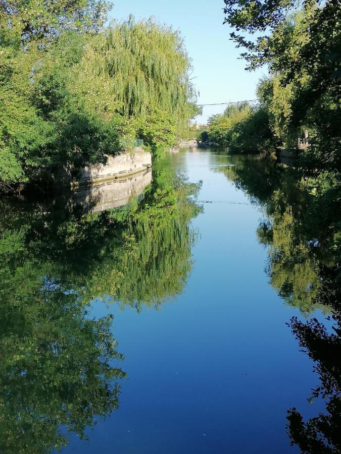 Gite Les Demoiselles Des Sorgues LʼIsle-sur-la-Sorgue Esterno foto