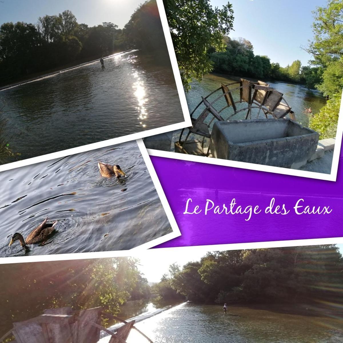 Gite Les Demoiselles Des Sorgues LʼIsle-sur-la-Sorgue Esterno foto